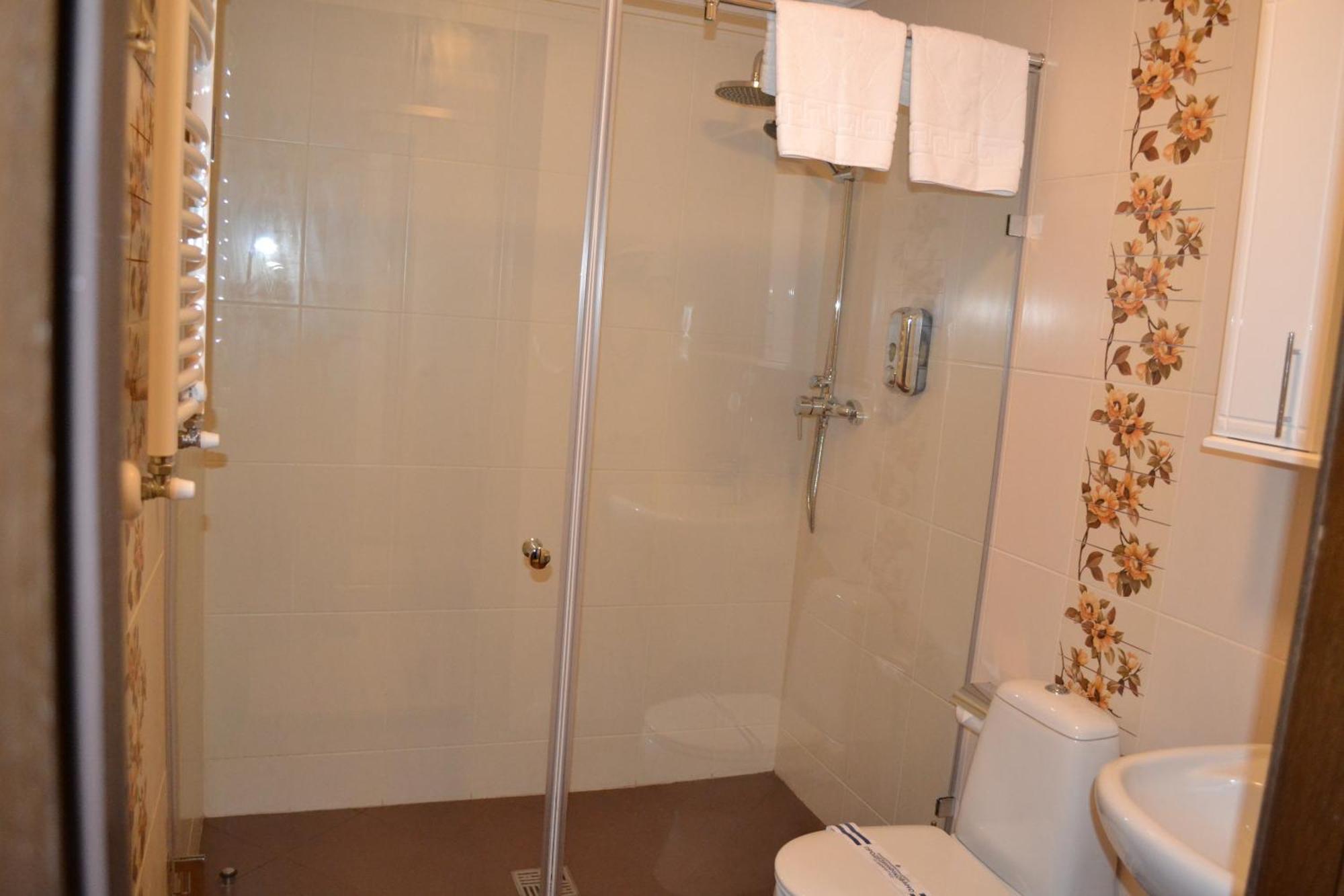 Zolota Forel Hotel Korostov Rum bild