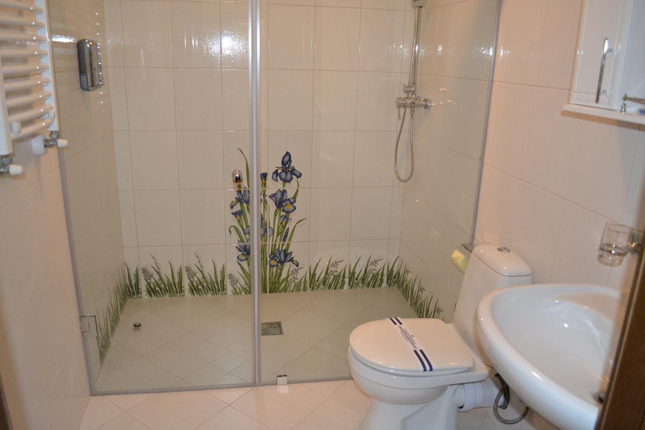 Zolota Forel Hotel Korostov Rum bild